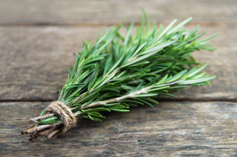 O Poder Versátil do Alecrim