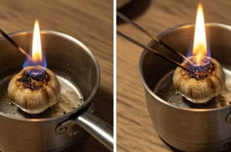 Queime Um Dente De Alho