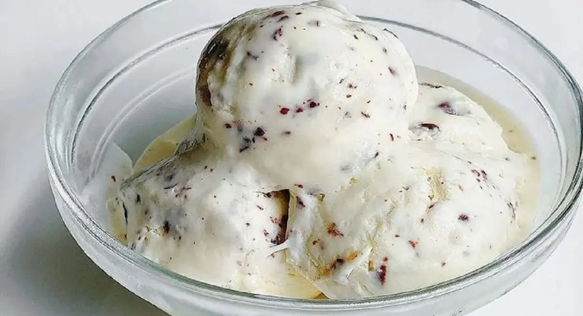 Sorvete de Liquidificador em 5 Minutos